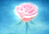 KN/